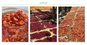 تصاویر گلماسو